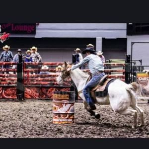 Meet your Posher, Harrison